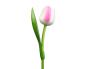 Preview: Wooden tulip, hand-painted, 34cm high, Made in Holland, color: White/Pink